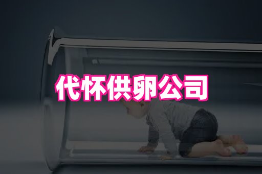 821孕网 1